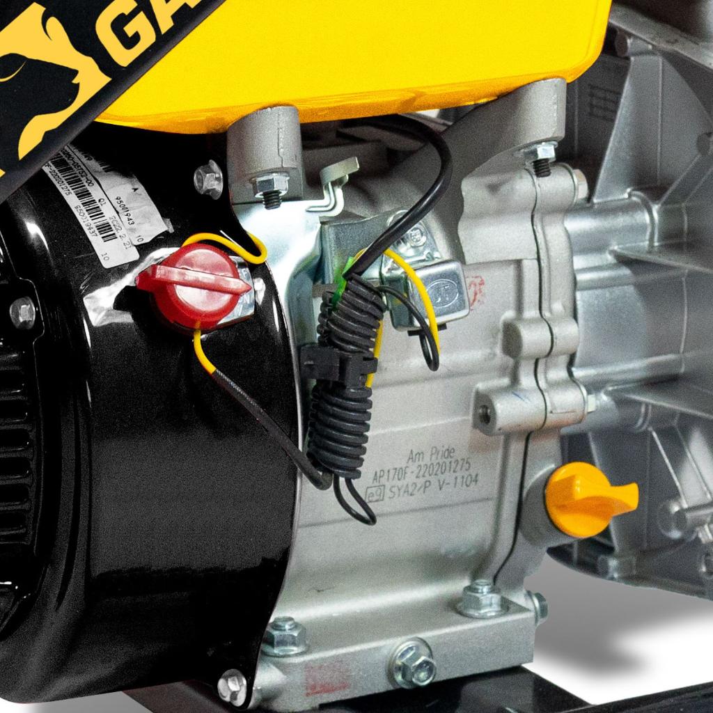 GARLAND GEISER 801QG-V23 - foto 3